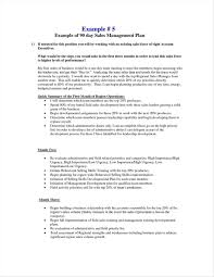 Valid Business Plan Template For Sales Rep Business Plan Template Business Proposal Template 90 Day Plan