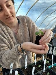 Jennifer Baumbach's Instagram, Twitter & Facebook