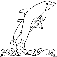 Cartoon Dolphin Drawing In 4 Steps With Photoshop Dolphin Drawing Cartoon Dolphin Sea Creatures Drawing