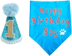 Layered cardstock number highlights the age of your choice. Amazon Com Pet Show Dogs 1st Birthday Hats And Bandanas Set Cats 1 Year Old Photo Props Party Costume Grooming Accessories Blue Pet Supplies