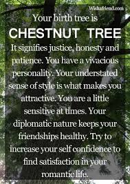 Your Birth Tree Chestnut Tree Chestnut Trees Chestnut Relationship Astrology