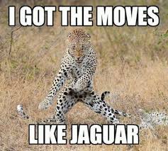 Pin By Nicole Gulley On Giggles Funny Animal Jokes Funny Animal Memes Funny Animal Pictures