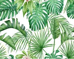 Choose from 3800+ tropical plants graphic resources and download in the form of png, eps, ai or psd. Plants Watercolor Wallpapers Top Free Plants Watercolor Backgrounds Wallpaperaccess