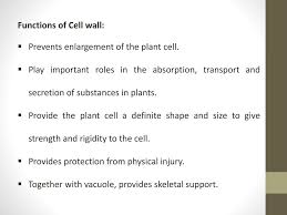 Check spelling or type a new query. Cell Wall And It S Function Ppt Download