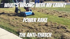 Simple to use, rugged and productive, bluebird power rakes are the best choice. Why And How To Power Rake Or Dethatch A Lawn Youtube
