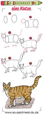 So Zeichnest Du Eine Katze So Zeichnest Du