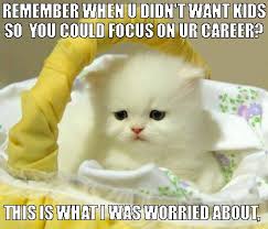 Click the button to see more funny animal videos on our youtube channel! 25 Funny Cat Memes Kid Friendly Factory Memes