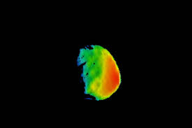 Nasa S Mars Odyssey Orbiter Takes A Look At Mars Moon Phobos Nasa Mars Nasa The Martian