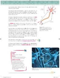 Paco el chato es una plataforma independiente que ofrece recursos de apoyo a los libros de texto de la sep y otras editoriales. Libro De Ciencias Biologia 1 Secundaria Contestado 2018 Libros Famosos