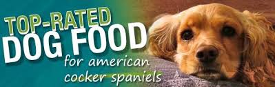 The Best Dog Foods For American Cocker Spaniels Dog Food Guru