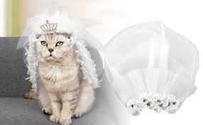 We did not find results for: Schleier Fur Hunde Hund Braut Blume Kopfschmuck Hundehaarspangen Hund Haustier Katze Brautkleid Hochzeit Haar Zubehor Fur Kleine Hunde Katzen L Amazon De Haustier