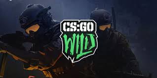 Clusterstruck & wild gooseman chase. Faze Banks Owned A Gambling Site Csgo Wild Made Millions Weekly Talkesport