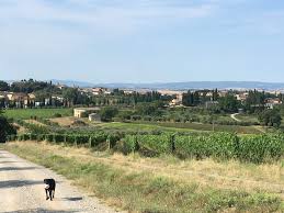 Ein abbruchreifes, baufälliges, einsturzgefährdetes haus. Haussitting Mit Hund Und Katz In Der Toskana Miss Move