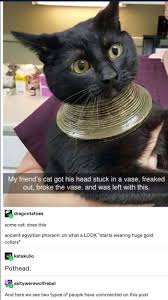 17 Hilarious Posts That Prove There Are Always Two Types Of People Cute Funny Animals Animal Memes Funny Animal Memes