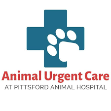 Find 162 affordable pet care options in rochester, ny. Animal Urgent Care Of Pittsford Home Facebook