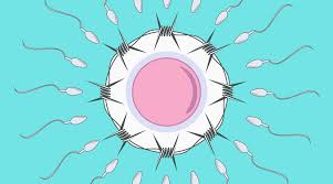 Visit our site to discover treatments, find a specialist & learn about coverage options. Confessions Of An Infertile Guy