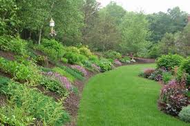 This Photo Shows Both The Garden On The Hill And The Garden That Surrounds Our Pati Backyard Hill Landscaping Sloped Backyard Landscaping Landscaping On A Hill