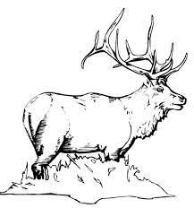 We have chosen the best elk coloring pages which you can download online at mobile, tablet.for free and add … Elk Coloring Pages