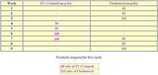 clenbuterol cycles