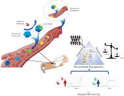 For your convenience mconvert has online euro to litecoin (eur vs ltc) history chart and a table of popular currency pairs with their latest exchange rates for 12/07/2020. Updates On Liquid Biopsy Current Trends And Future Perspectives For Clinical Application In Solid Tumors
