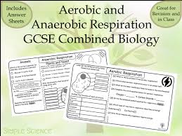 Maybe you would like to learn more about one of these? Gcse Biology Aerobic And Anaerobic Respiration Worksheets Teaching Resources