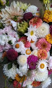 Those that offer organic or sustainably grown produce are identified by the words organic and/or. Getting Started In Cut Flowers Top 15 Cuts Johnny S Selected Seeds