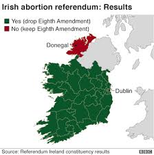 I tend to prefer referendums as more english sounding. Do Referendums Improve Democracy Opendemocracy