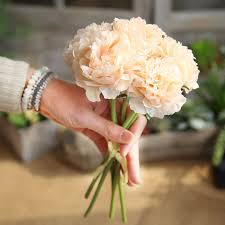 We did not find results for: Zoye Hot Sale 26cm Silk Peony Flowers Handmade Pink Artificial Silk Peony Bouquet Flowers Artificial For Home Wedding Decor Buy Cheap Artificial Silk Peony Flowers Artificial Bouquet Cheap 26cm 5 Heads