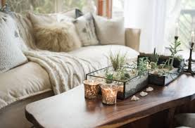 Put the cut sheets together for building a glass box and secure the corners and sides. How To Decorate With Terrarium Gardens