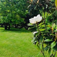 Compare hotel prices and find an amazing price for the ana hotels europa eforie nord hotel in eforie nord. Pachet Tratament Balneo Spa Eforie Nord Hotel Europa Pico Mar Travel