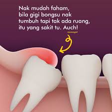 Pijat sakit gigi geraham sangat mudah dilakukan untuk menghilangkan rasa sakit gigi. Ø²ÙˆÙ„ÙØ¶Ù„ÙŠ Ø²ÙŠÙ† Auf Twitter Hari Ni Nak Share Pasal Gigi Bongsu Wisdom Pernah Tak Korang Alami Gusi Bengkak Pada Gigi Bongsu Korang Nak Kata Berlubang Tak Pun Tapi Sakit Dan