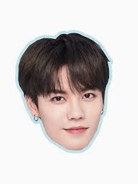 Lin Yanjun Camisetas