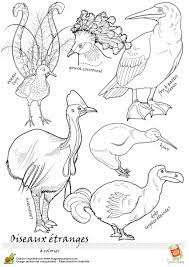 coloriage oiseau legende etranges animaux image a colorier de feuille calcul fruits