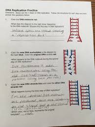 1) each dna molecule has two sides, one is called the template from which the mrna is constructed by rna polymerase, and the other is the. Protein Synthesis Worksheet Answers Biology Printable Worksheets And Activities For Teachers Parents Tutors And Homeschool Families