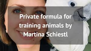 Blogs by AnimalConcepts