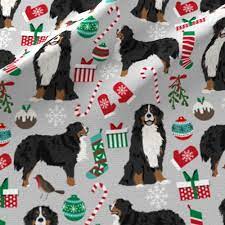 Certain dogs will spawn in certain biomes, such as huskies in snowy biomes, and bernese mountain dogs in mountain biomes. Colorful Fabrics Digitally Printed By Spoonflower Bernese Mountain Dogs Christmas Fabric Cute Dogs Fabric Xmas Holiday Dog Design Dog Xmas Dog Holiday Christmas Dog