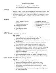 Is it about how to put together an application in. Waitress Cv Template Cv Samples Examples