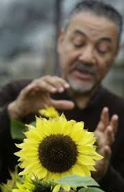 Great Bee Count aids scientists