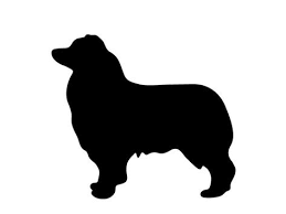 Australian Shepherd Poodle Mix Black And White Australian Shepherd Clipart Australian Shepherd Silhouette Running 38 Australian Shepherd Poodle Mix Miniature Australian Shepherd Australian Shepherd