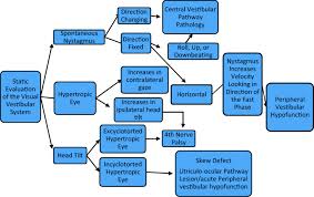 Image result for Cerebellar Function Test