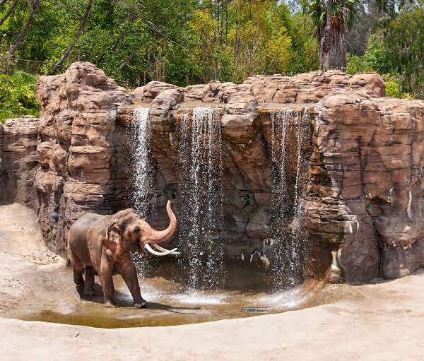 Los Angeles Zoo