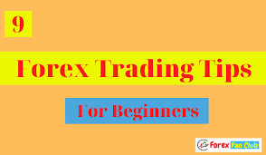 Now let's discuss part 2 where i'll be focusing on smart habits, those you need to master to get the maximum benefit from your trading. Top 9 Forex Trading Tips For Beginners Forexfanclub