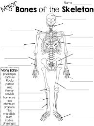 There are additional body cavities which we will only discuss in lecture. Skeletal System Complete Unit With Lesson Plans Fact Book And Activities Skeletal System Worksheet Teaching Body Systems Skeletal System