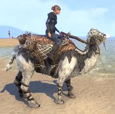 Tanzine says you should pick a fine camel on your own, allowing you to check out the. Eso Fashion Frostbane Camel Elder Scrolls Online