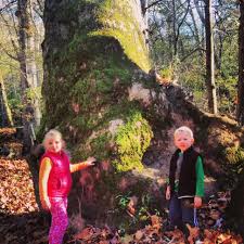 Hiking Near Cincinnati 10 Family Friendly Best Places To Hike In Cincinnati Hiking Spots Outdoors Adventure Hiking