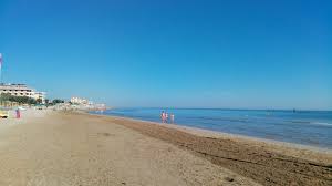 We did not find results for: Marotta Beach On The Map With Photos And Reviews Beachsearcher Com