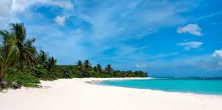 145musicami playa en costa rica. Ami Playa En Costa Rica Download Zippy