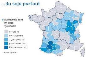Historique de la cotation sur cbot, actualités, graphique, analyses et informations boursières. Forte Progression De La Culture De Soja En France