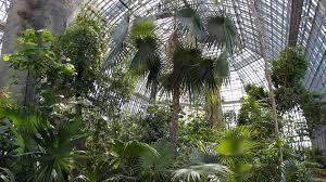 May 31 at 11:21 am ·. Berlin Dahlem Auf Humboldts Spuren Im Botanischen Garten