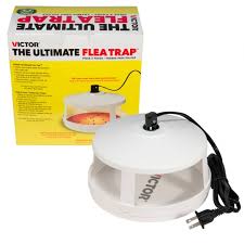 Victor The Ultimate Flea Trap Wildlife Control Supplies Product Code Wm230